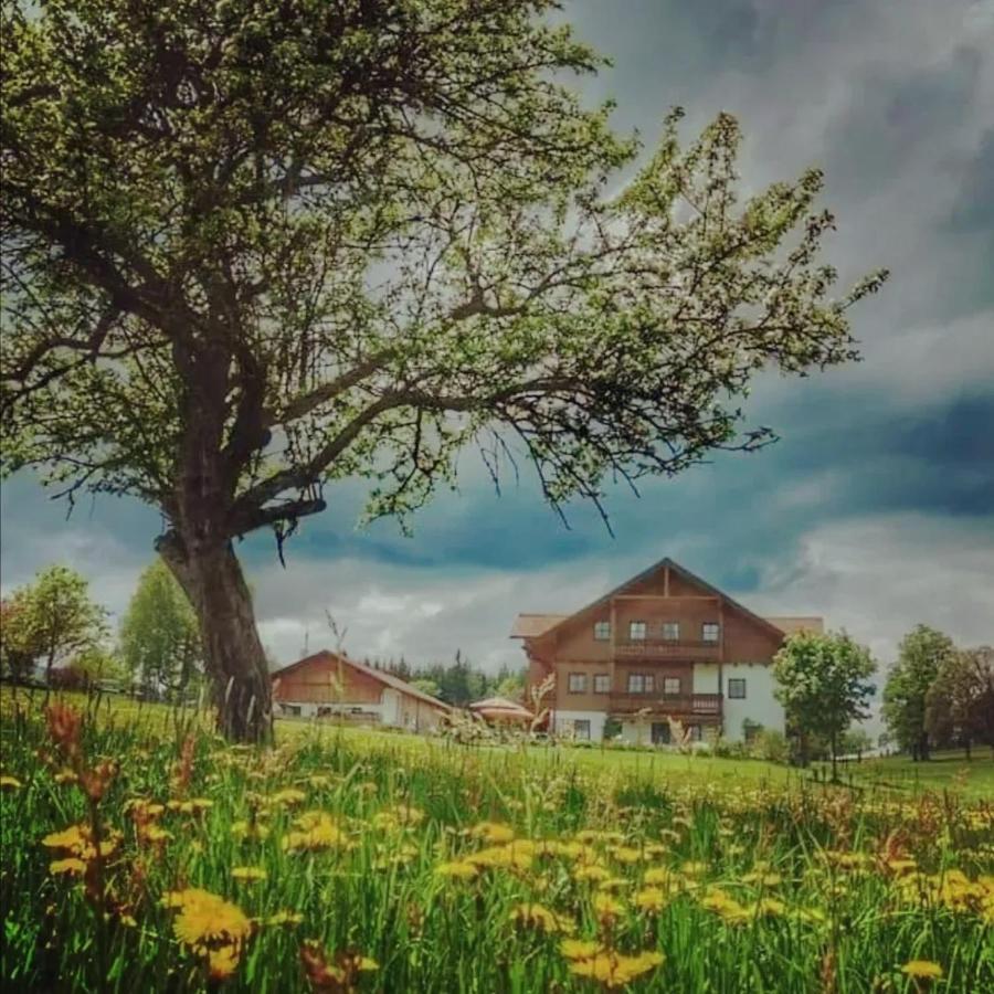 Biobauernhof Brandlhof Leilighet Ramsau am Dachstein Eksteriør bilde