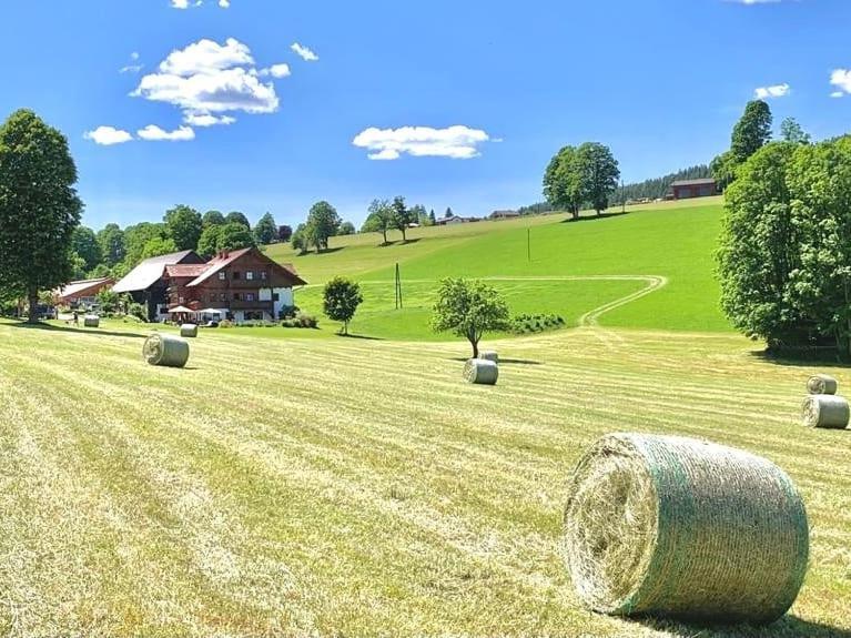 Biobauernhof Brandlhof Leilighet Ramsau am Dachstein Eksteriør bilde