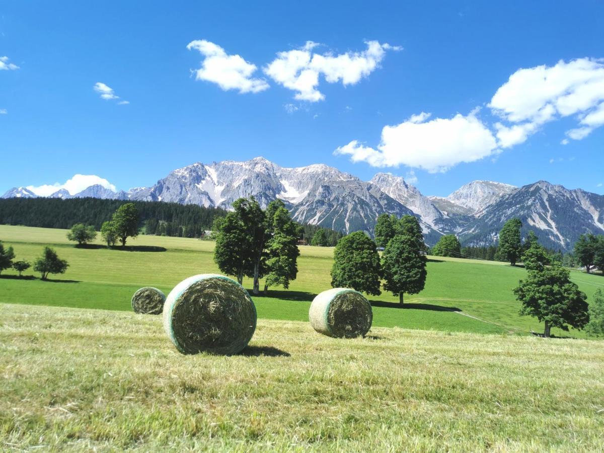 Biobauernhof Brandlhof Leilighet Ramsau am Dachstein Eksteriør bilde