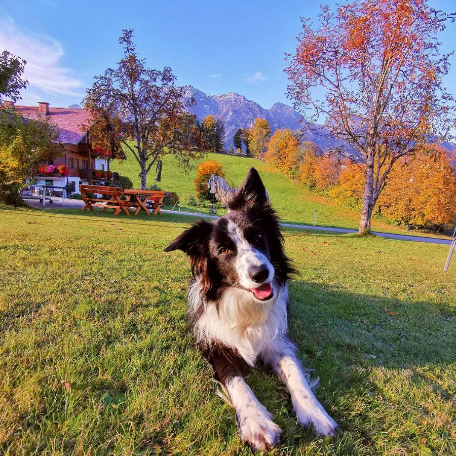 Biobauernhof Brandlhof Leilighet Ramsau am Dachstein Eksteriør bilde