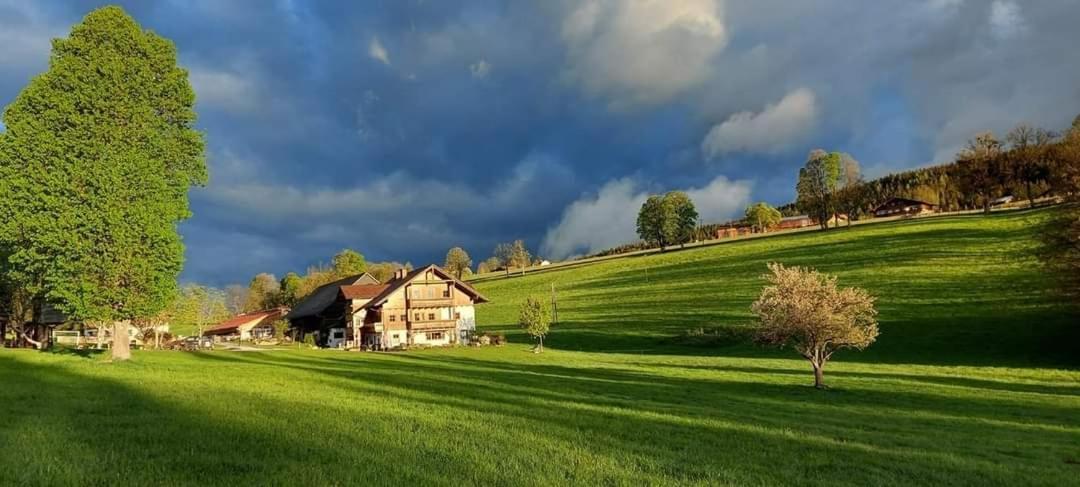 Biobauernhof Brandlhof Leilighet Ramsau am Dachstein Eksteriør bilde
