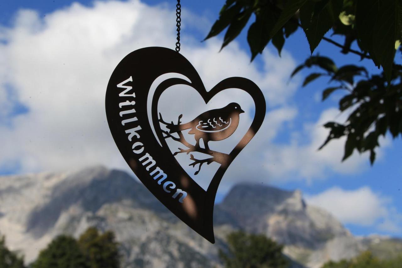 Biobauernhof Brandlhof Leilighet Ramsau am Dachstein Eksteriør bilde