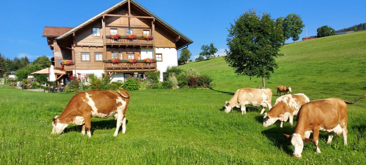 Biobauernhof Brandlhof Leilighet Ramsau am Dachstein Eksteriør bilde
