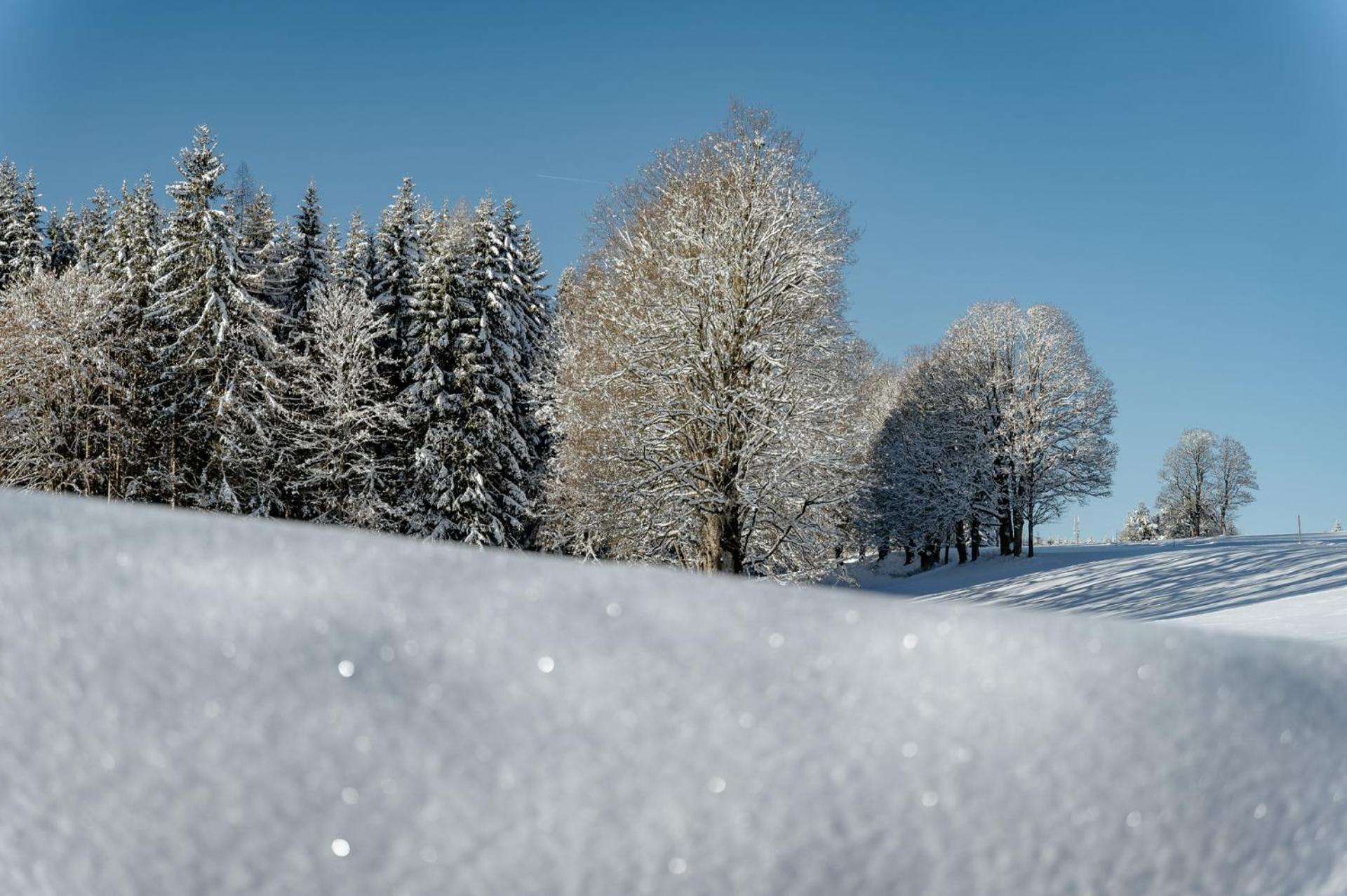 Biobauernhof Brandlhof Leilighet Ramsau am Dachstein Eksteriør bilde