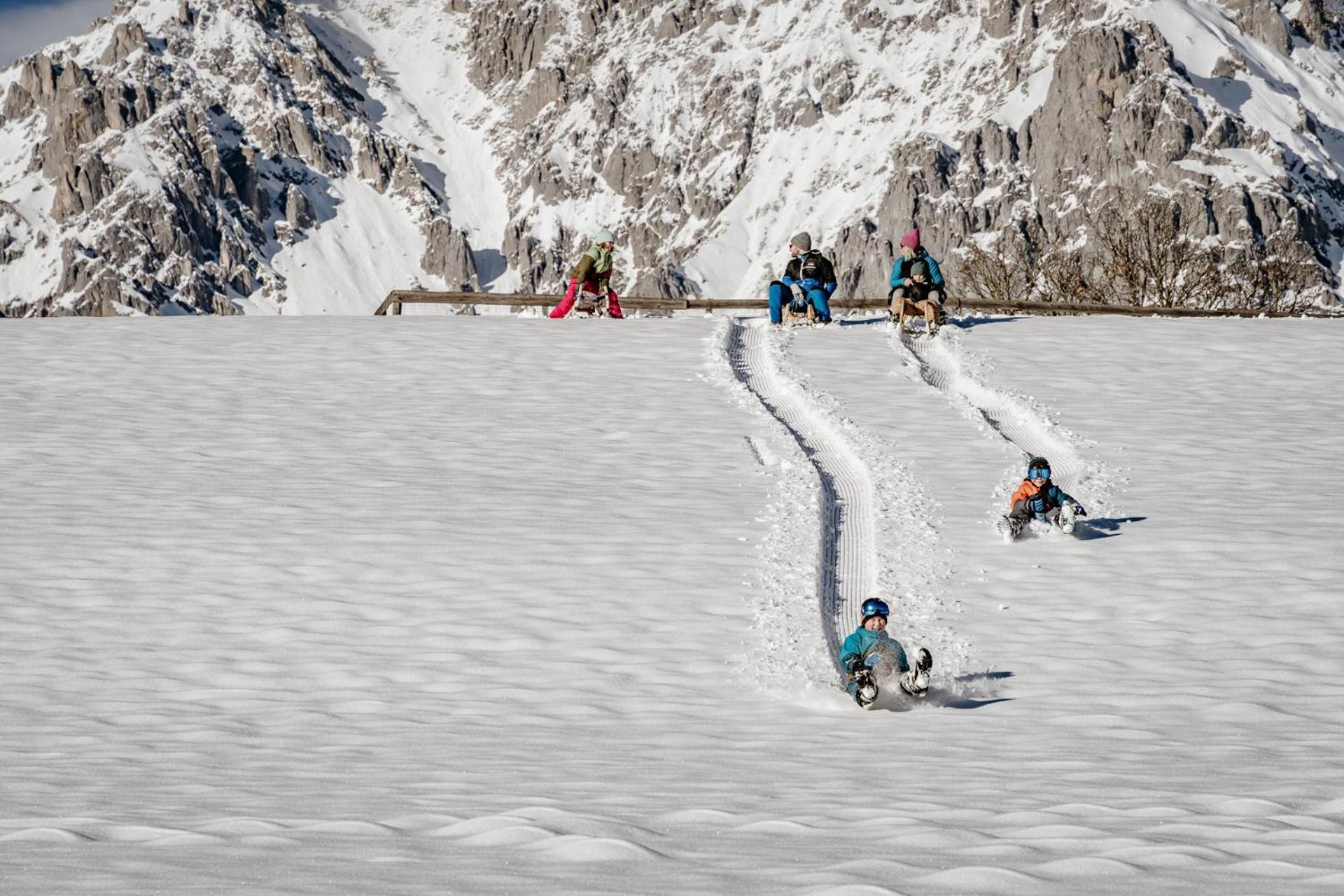 Biobauernhof Brandlhof Leilighet Ramsau am Dachstein Eksteriør bilde