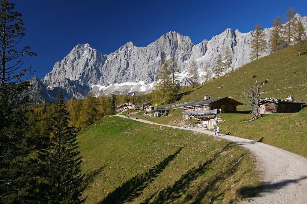 Biobauernhof Brandlhof Leilighet Ramsau am Dachstein Eksteriør bilde